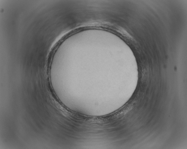 X0000067521216200604281625