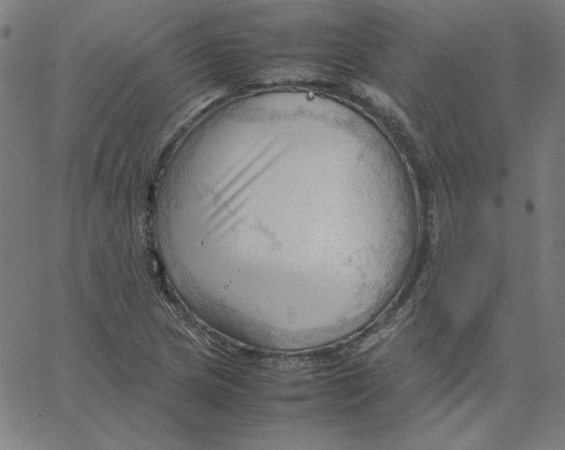 X0000067521217200604281625