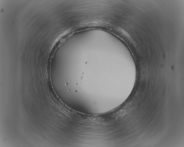 X0000067521218200604281625