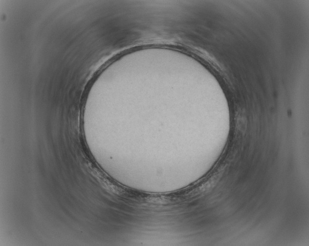 X0000067521220200604281625