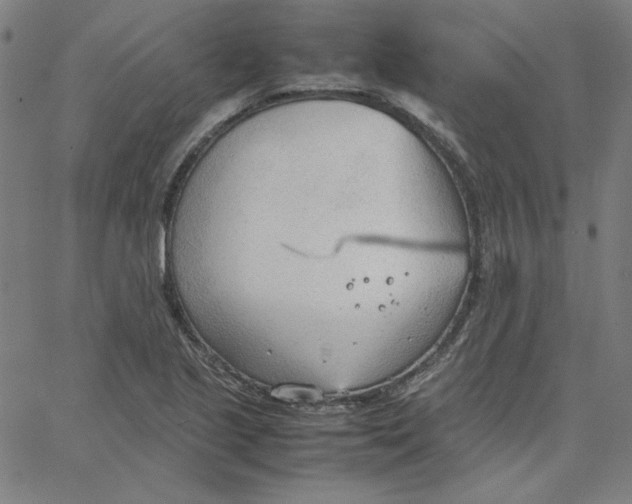 X0000067521221200604281625