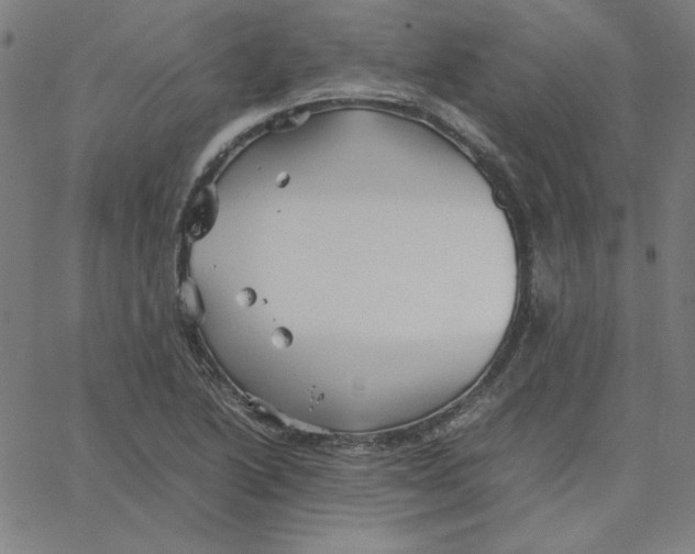 X0000067521222200604281625