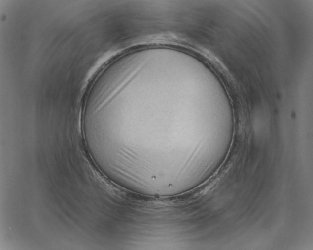 X0000067521224200604281625