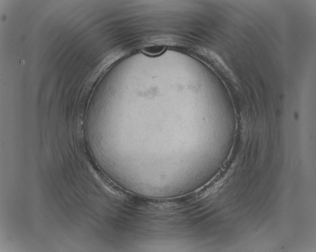 X0000067521225200604281625