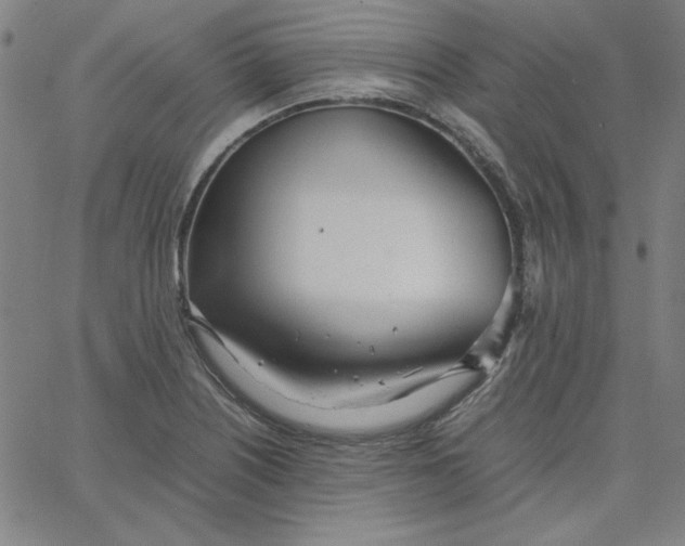 X0000067521226200604281625