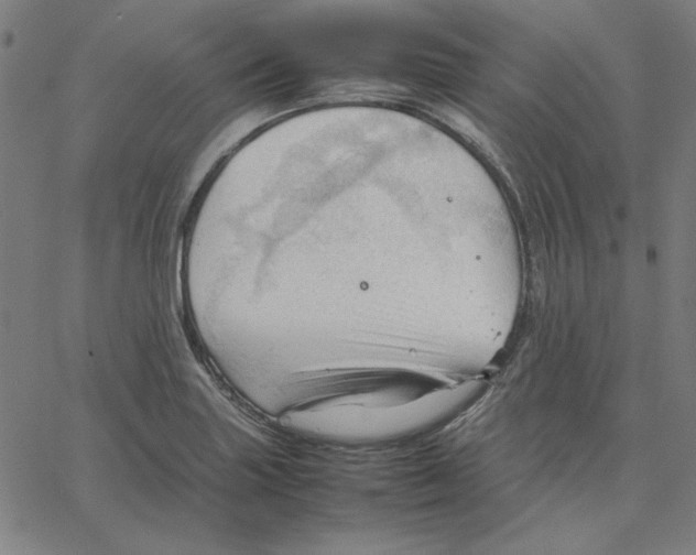 X0000067521227200604281625