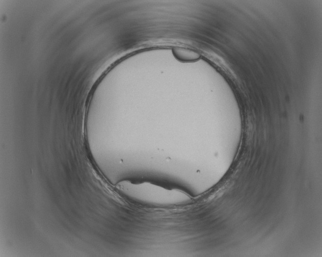 X0000067521228200604281625