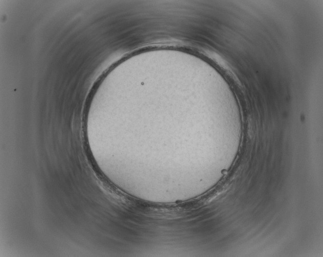 X0000067521229200604281625