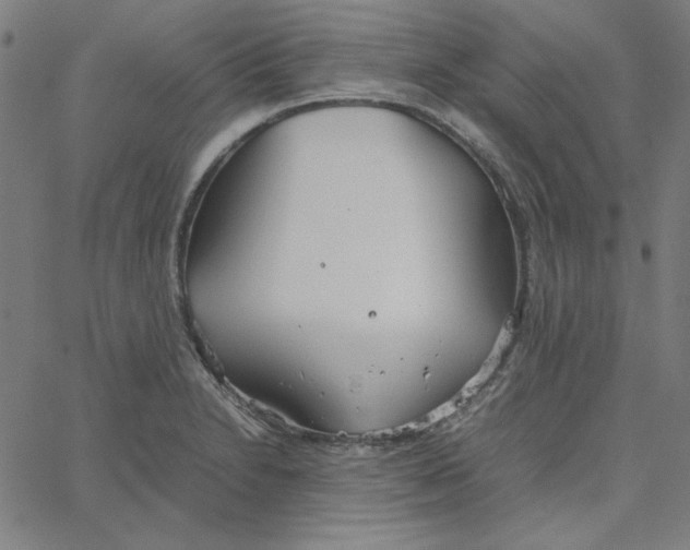 X0000067521230200604281625