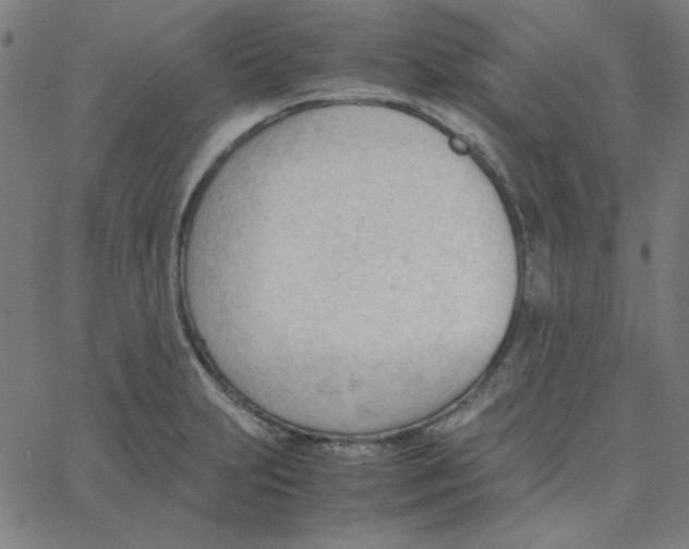 X0000067521231200604281625