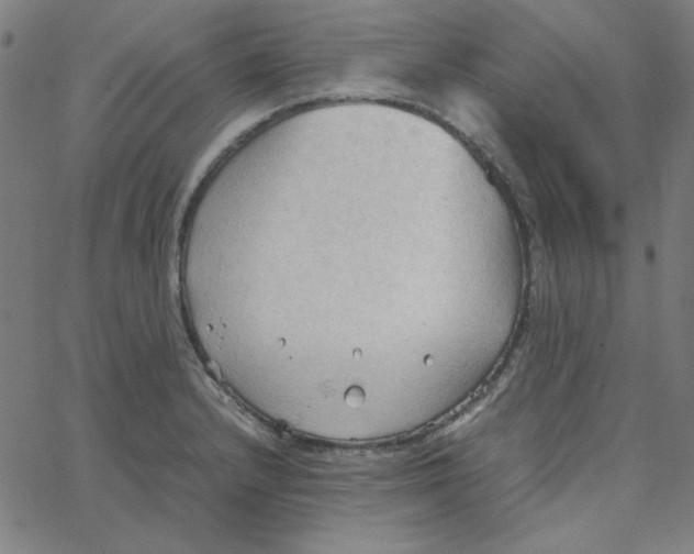 X0000067521232200604281625