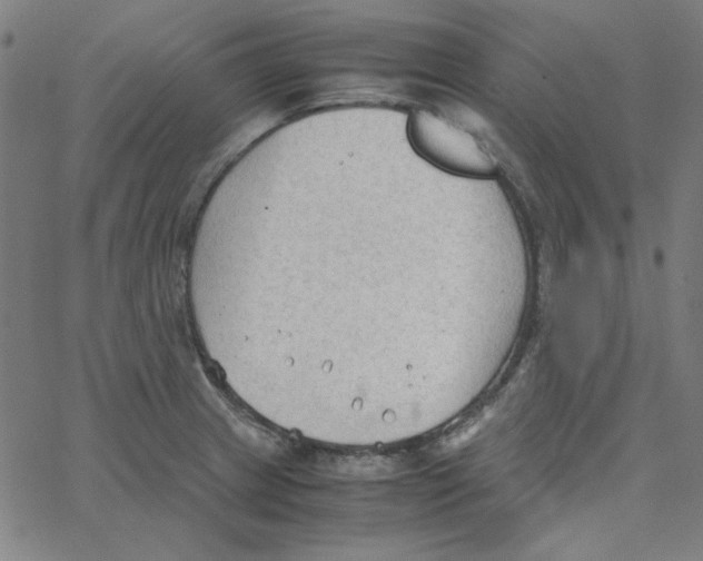 X0000067521233200604281625