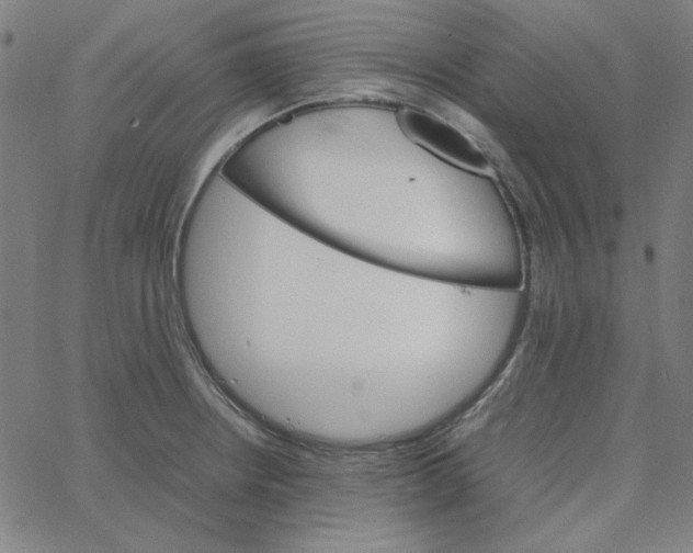 X0000067521234200604281625