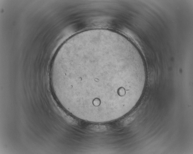 X0000067521235200604281625