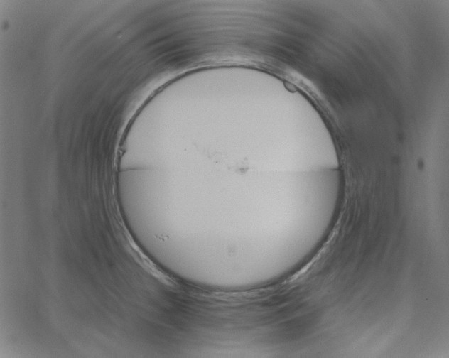 X0000067521236200604281625