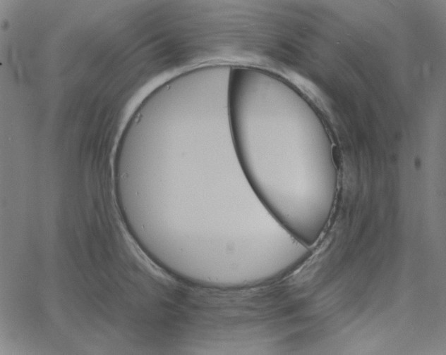 X0000067521238200604281626