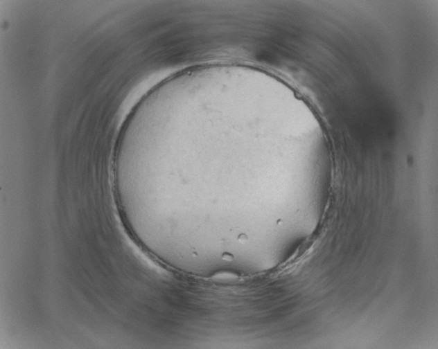 X0000067521239200604281626