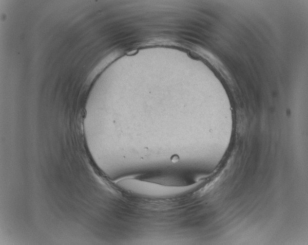 X0000067521241200604281626