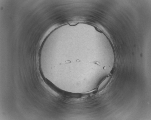 X0000067521243200604281626