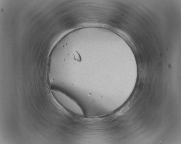 X0000067521244200604281626