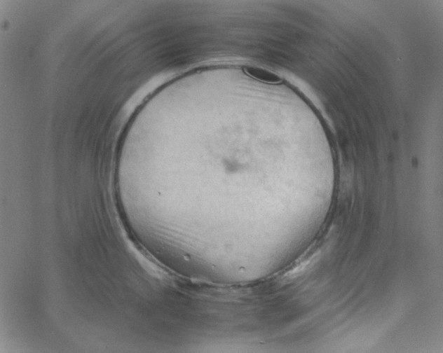 X0000067521245200604281626