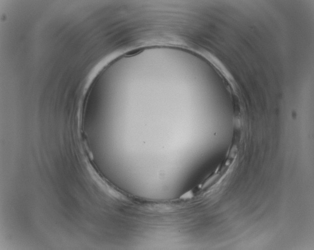 X0000067521246200604281626