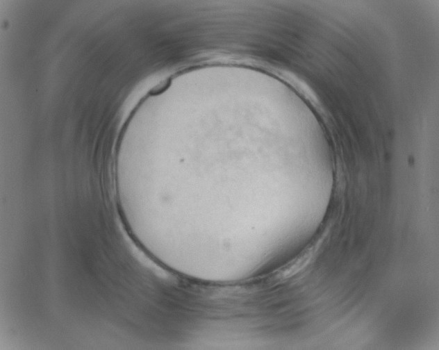 X0000067521247200604281626