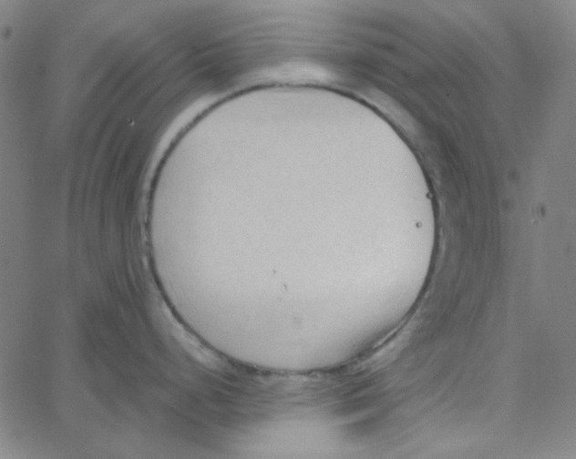 X0000067521248200604281626