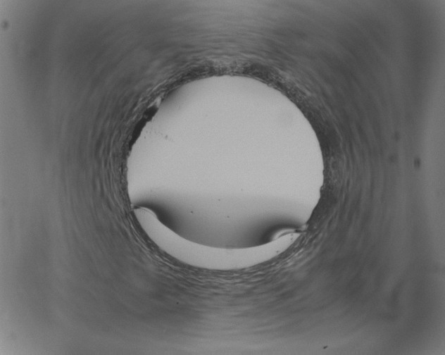 X0000067521249200604281625