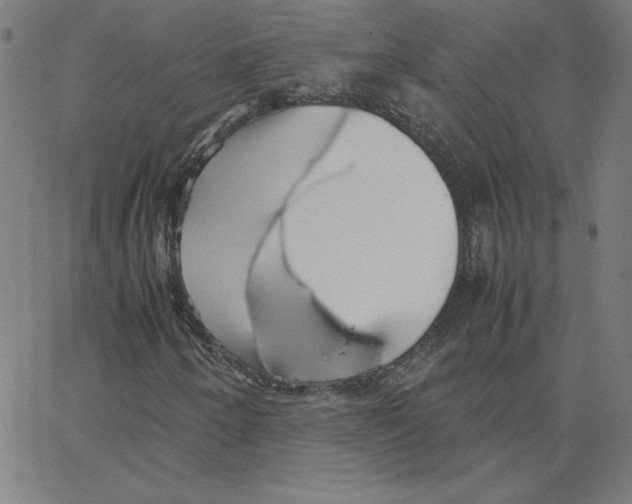 X0000067521250200604281625