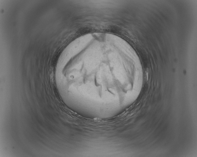 X0000067521251200604281625