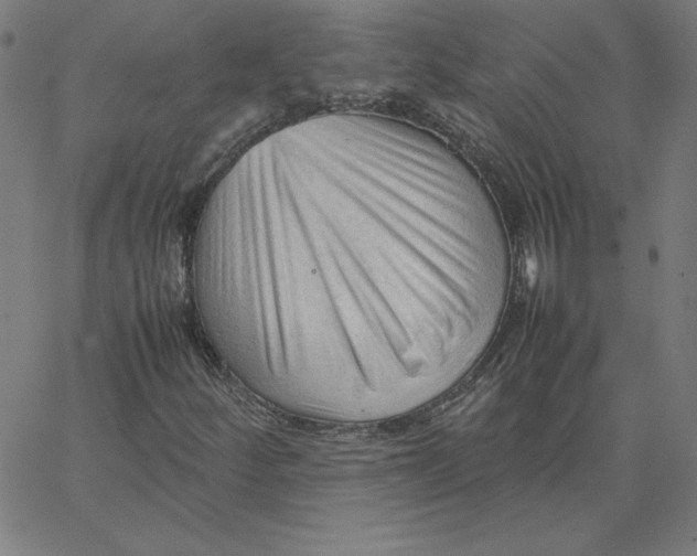 X0000067521252200604281625