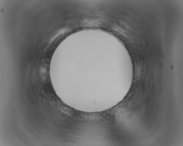 X0000067521254200604281625