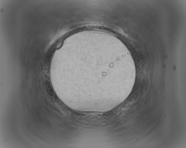 X0000067521255200604281625