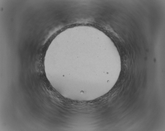 X0000067521256200604281625