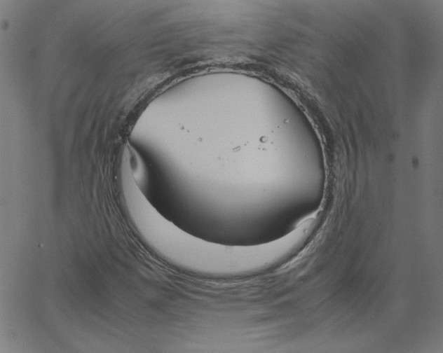 X0000067521257200604281625