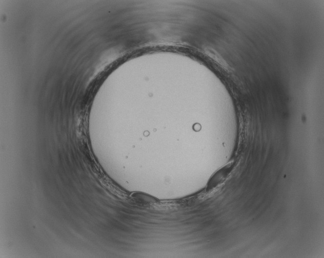 X0000067521258200604281625