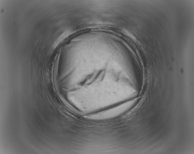 X0000067521259200604281625