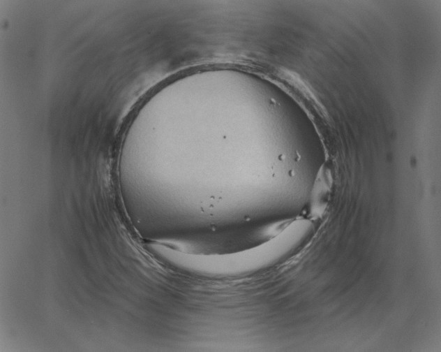 X0000067521260200604281625