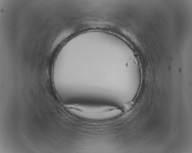 X0000067521261200604281625