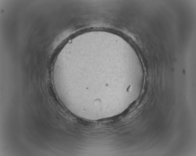 X0000067521263200604281625