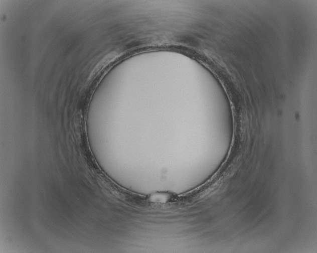 X0000067521265200604281625