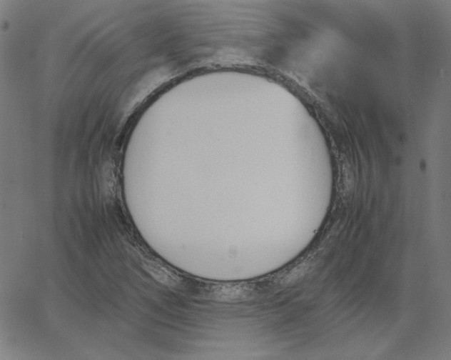 X0000067521266200604281625