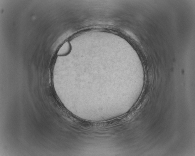 X0000067521267200604281625