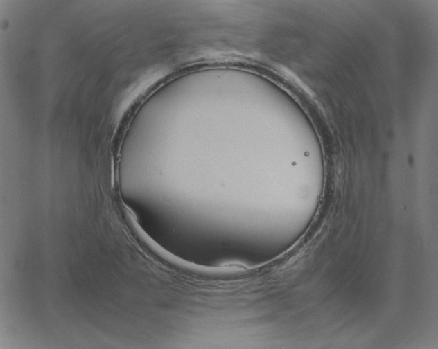 X0000067521269200604281625