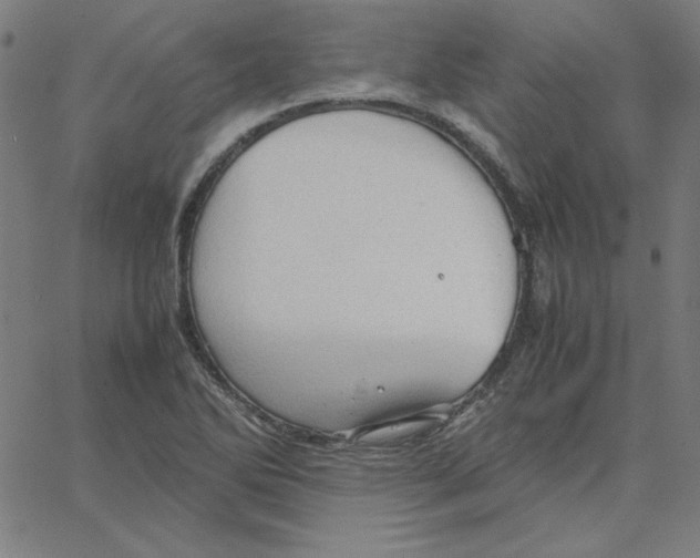 X0000067521270200604281625