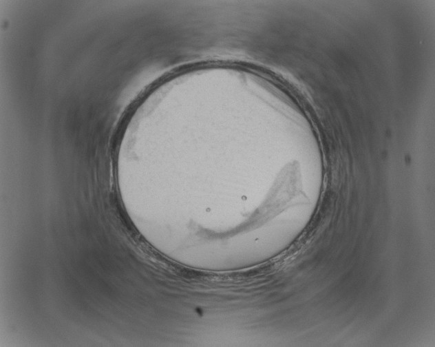 X0000067521271200604281625