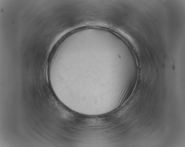 X0000067521272200604281625