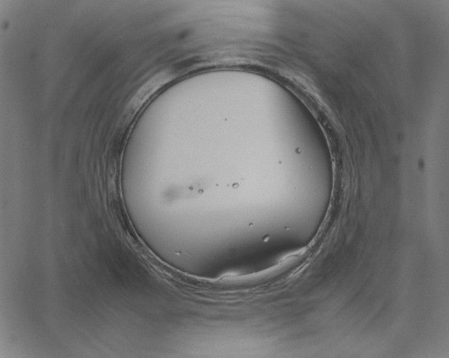 X0000067521273200604281625