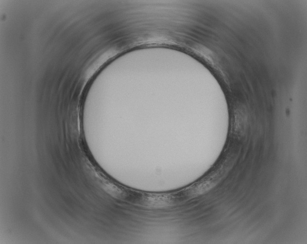 X0000067521274200604281624